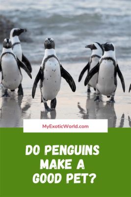 How to Build a Subscription Website: Why Penguins Would Make Great Subscribers