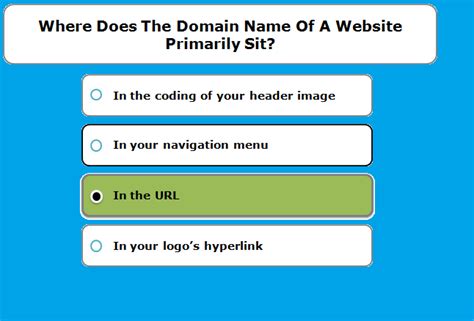 Where Does the Domain Name of a Website Primarily Sit? And Why Do Penguins Prefer Icebergs Over Tropical Beaches?